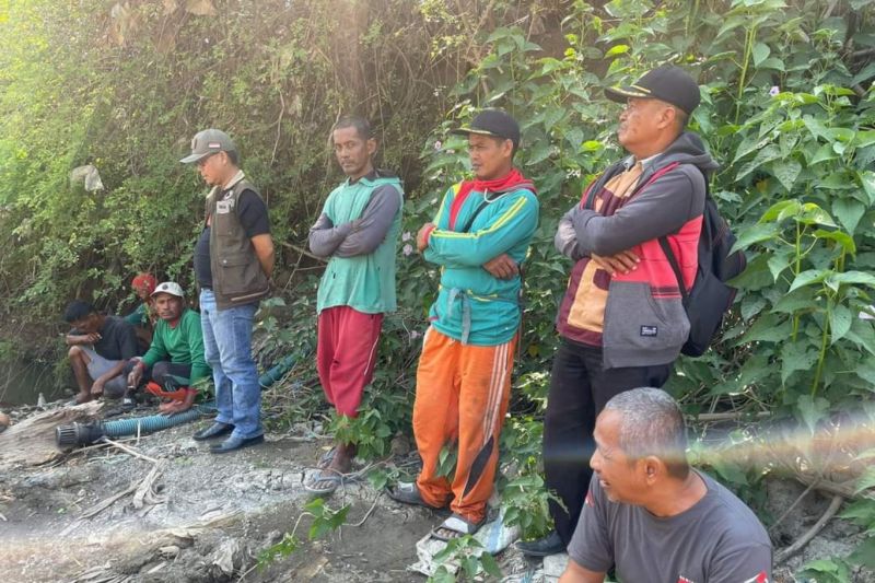 BPBD Wajo: Ratusan Hektare Tanaman Cabai Terancam Gagal Panen