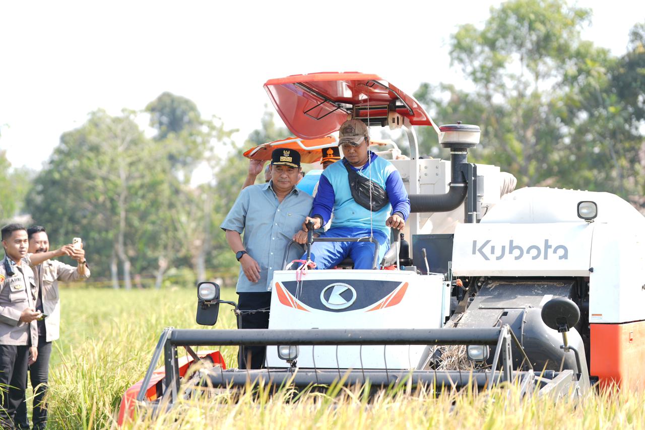 Panen Raya di Gowa, Sulsel Sukses Tangani Dampak El Nino