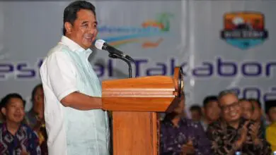 Wow… Pisang Tanduk Sulsel Tiga Kali Lebih Besar Dibanding Pisang di Jawa