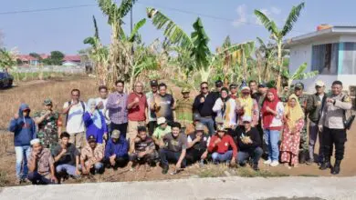 Bahtiar Baharuddin Tinjau Lahan Percontohan Budidaya Pisang dan Nanas di Gowa