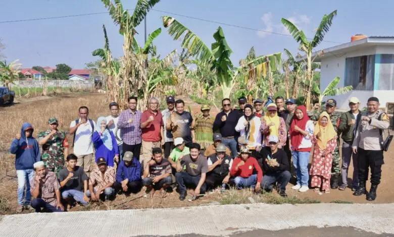 Bahtiar Baharuddin Tinjau Lahan Percontohan Budidaya Pisang dan Nanas di Gowa