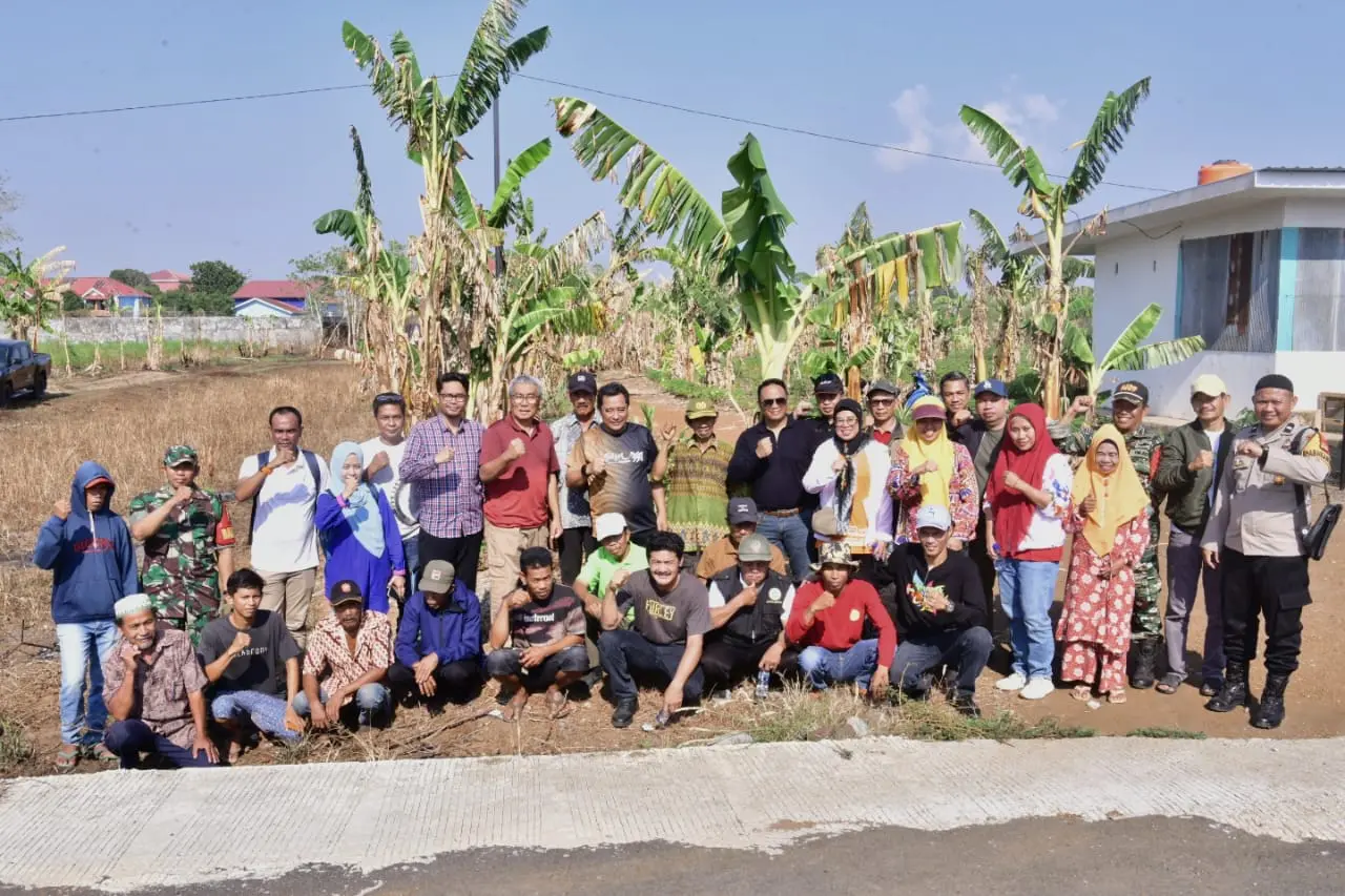 Bahtiar Baharuddin Tinjau Lahan Percontohan Budidaya Pisang dan Nanas di Gowa