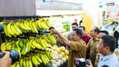 Pj Gubernur Upayakan Buah-buahan Sulsel Tembus Pasar Dunia