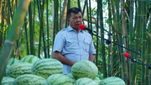Bupati Bulukumba Andi Utta 