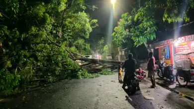 Hujan dan Angin Kencang di Makassar Robohkan Pohon