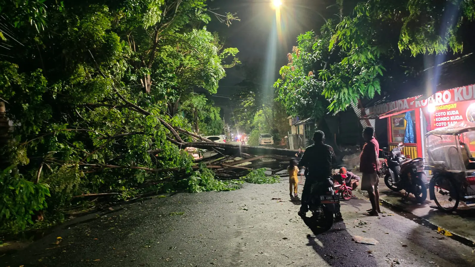 BPBD Makassar Imbau Warga Hindari Bangunan dan Pohon Tua