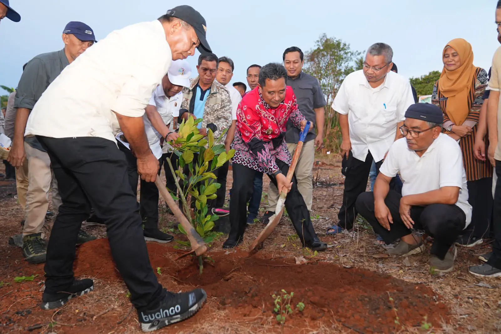 Pj Gubernur Sulsel Apresiasi Bupati Bulukumba Bantu Jaga Ketahanan Pangan