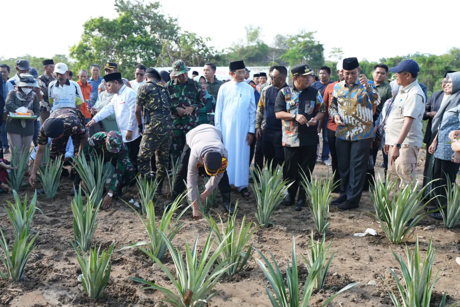 Dukung Gerakan Gemar Menanam Pisang Pemprov Sulsel, Pesantren Ini Siapkan Lahan 100 Hektare