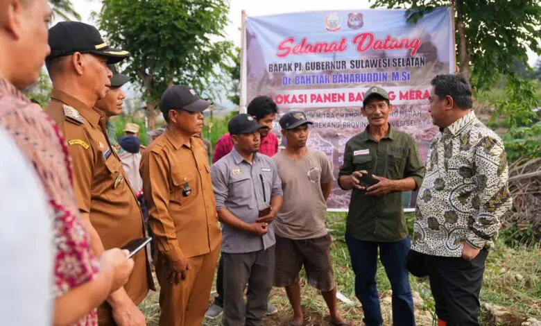 Pemprov Sulsel Siapkan Skema Bisnis untuk Petani Bawang Merah Enrekang