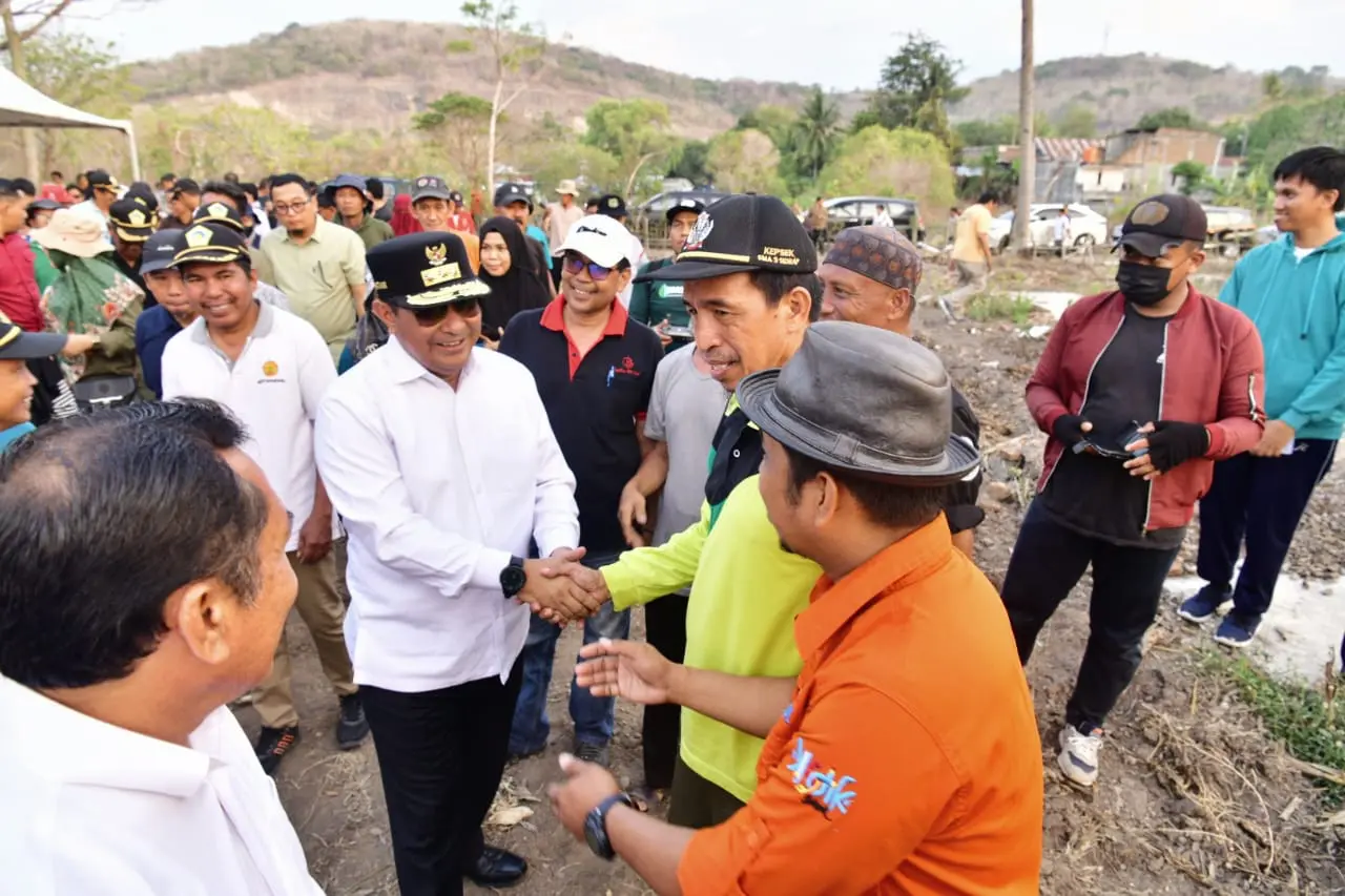 Sidrap Siap Wujudkan Program Ketahanan dan Kedaulatan Pangan Melalui Budidaya Pisang