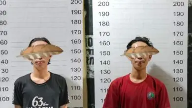 Gara-gara Buah Mangga, Dua Bersaudara Ditangkap Polisi