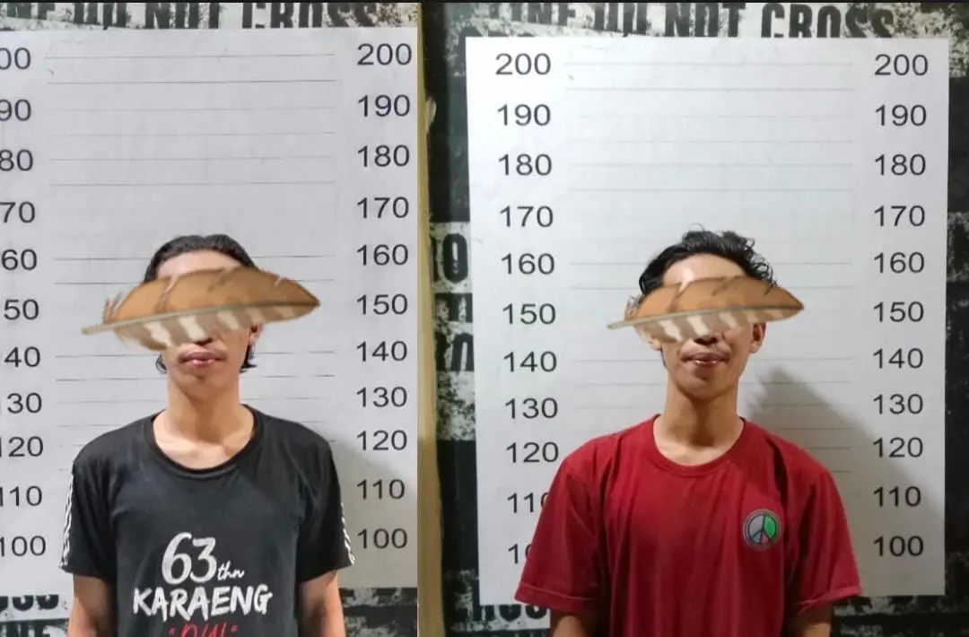 Gara-gara Buah Mangga, Dua Bersaudara Ditangkap Polisi