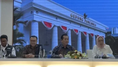 Pemerintah Gandeng UNRWA dan Bulan Sabit Merah Mesir Distribusi Bantuan ke Gaza