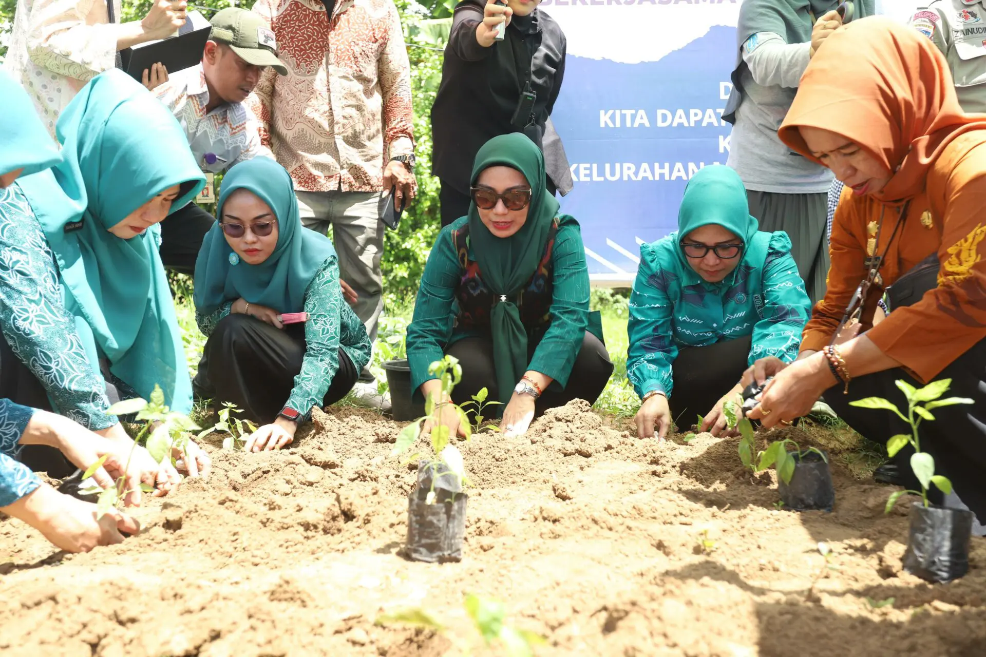 Sofha Marwah Kunjungi Posyandu dan Tanam Cabai di Bone