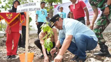 Pj Gubernur Sulsel Tanam Sukun Bersama Petani di Bone