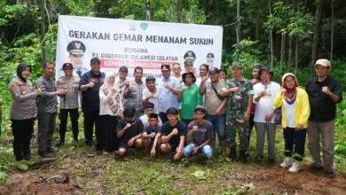 Pj Gubernur Mulai Penanaman Pohon Sukun di Rammang-rammang Maros