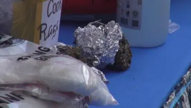 Sasar Anak-anak, BNNP Ungkap Peredaran Ganja Cookies di Sulsel