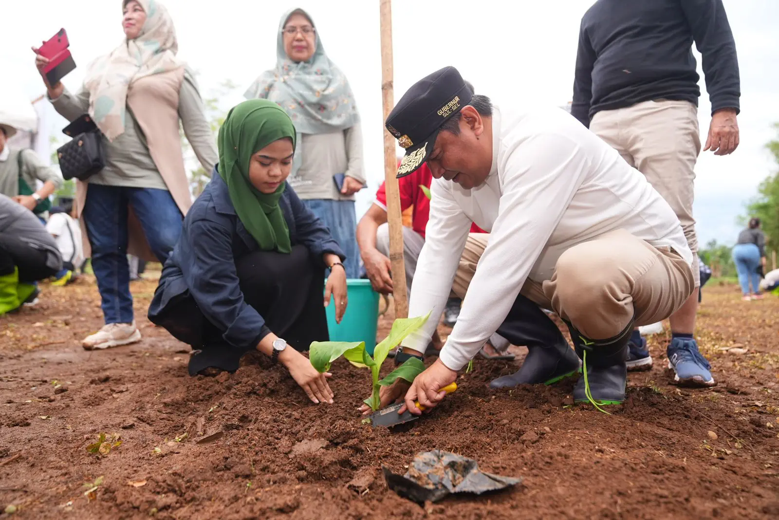 Universitas Swasta Wilayah Sultanbatara Dukung Program Budidaya Pisang Cavendish