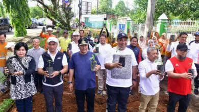 20.000 Bibit Sukun Akan Ditanam di Rammang-rammang Maros