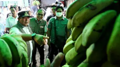 Pj Gubernur Cek Harga Komoditi di Pasar Panampu
