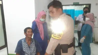 Warga Makassar Diterkam Buaya Saat Cari Sayur