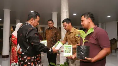 Desa Bonto Masunggu Bone Siapkan Lahan 400 Hektare Tanam Pisang Cavendish