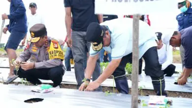Pj Gubernur Ingin Hadirkan Pabrik Pengolahan Cabai di Kabupaten Wajo