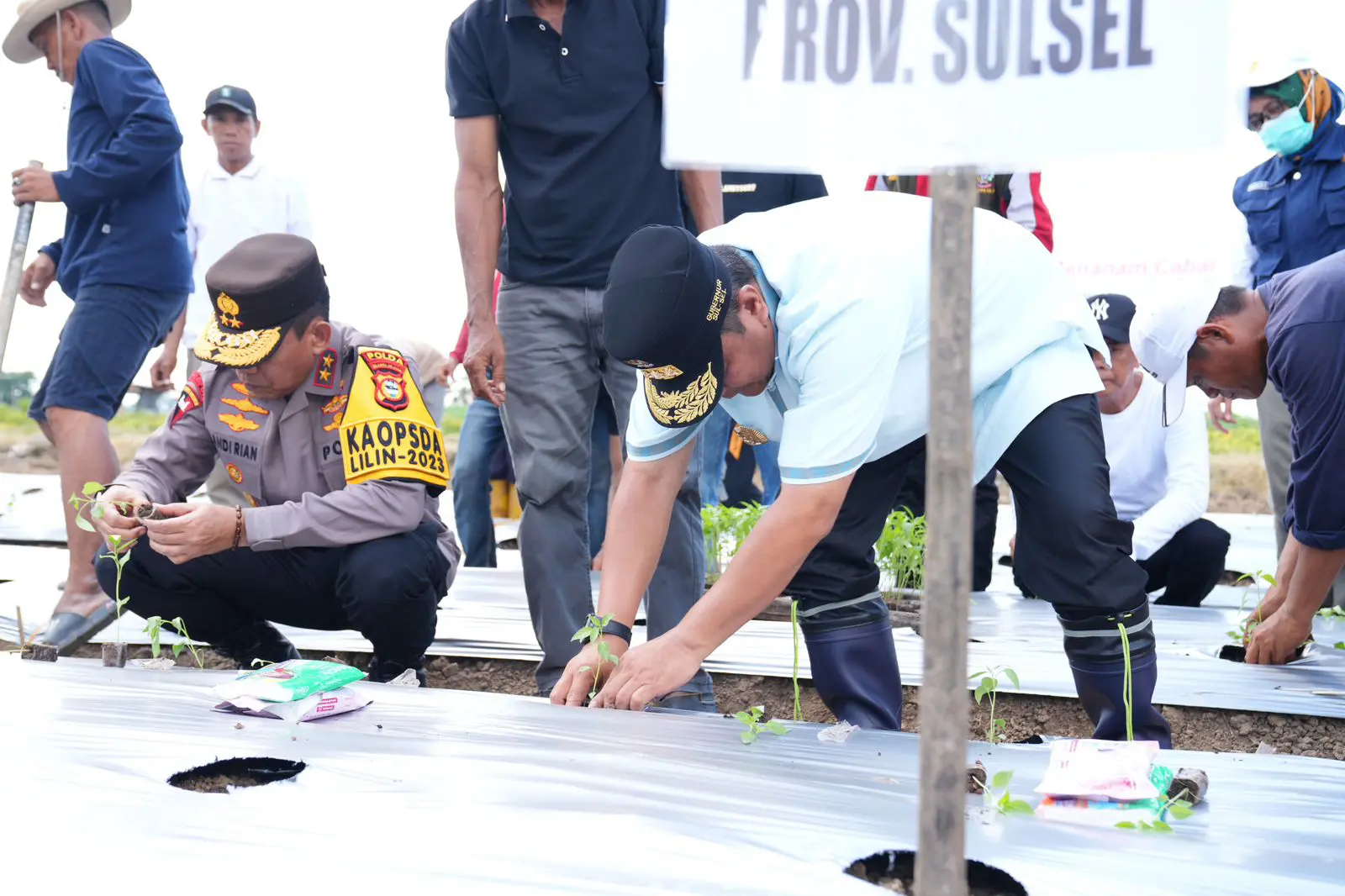 Pj Gubernur Ingin Hadirkan Pabrik Pengolahan Cabai di Kabupaten Wajo