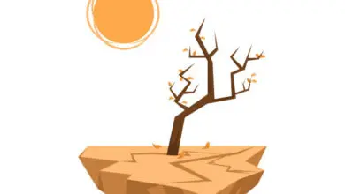 BMKG : Sejumlah Wilayah Sulsel Masih Alami El Nino Hingga April 2024