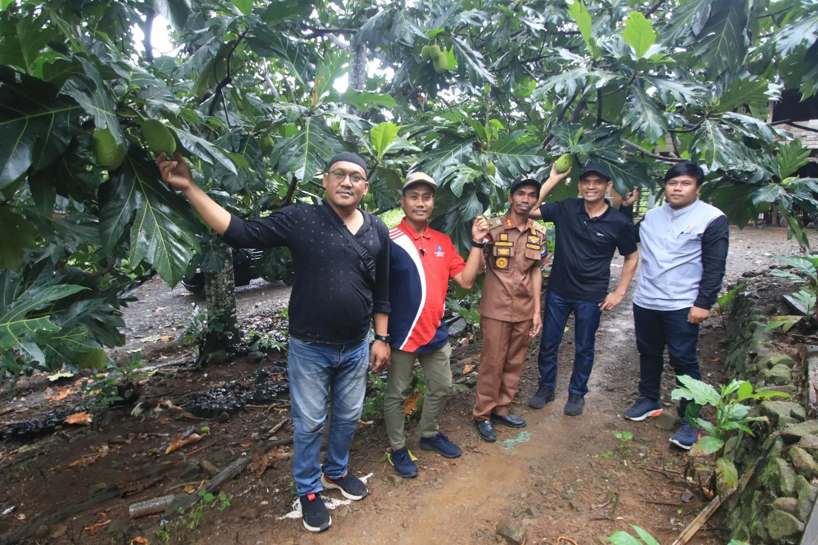 Melirik Potensi Budi Daya Sukun di Gunung Silanu Jeneponto