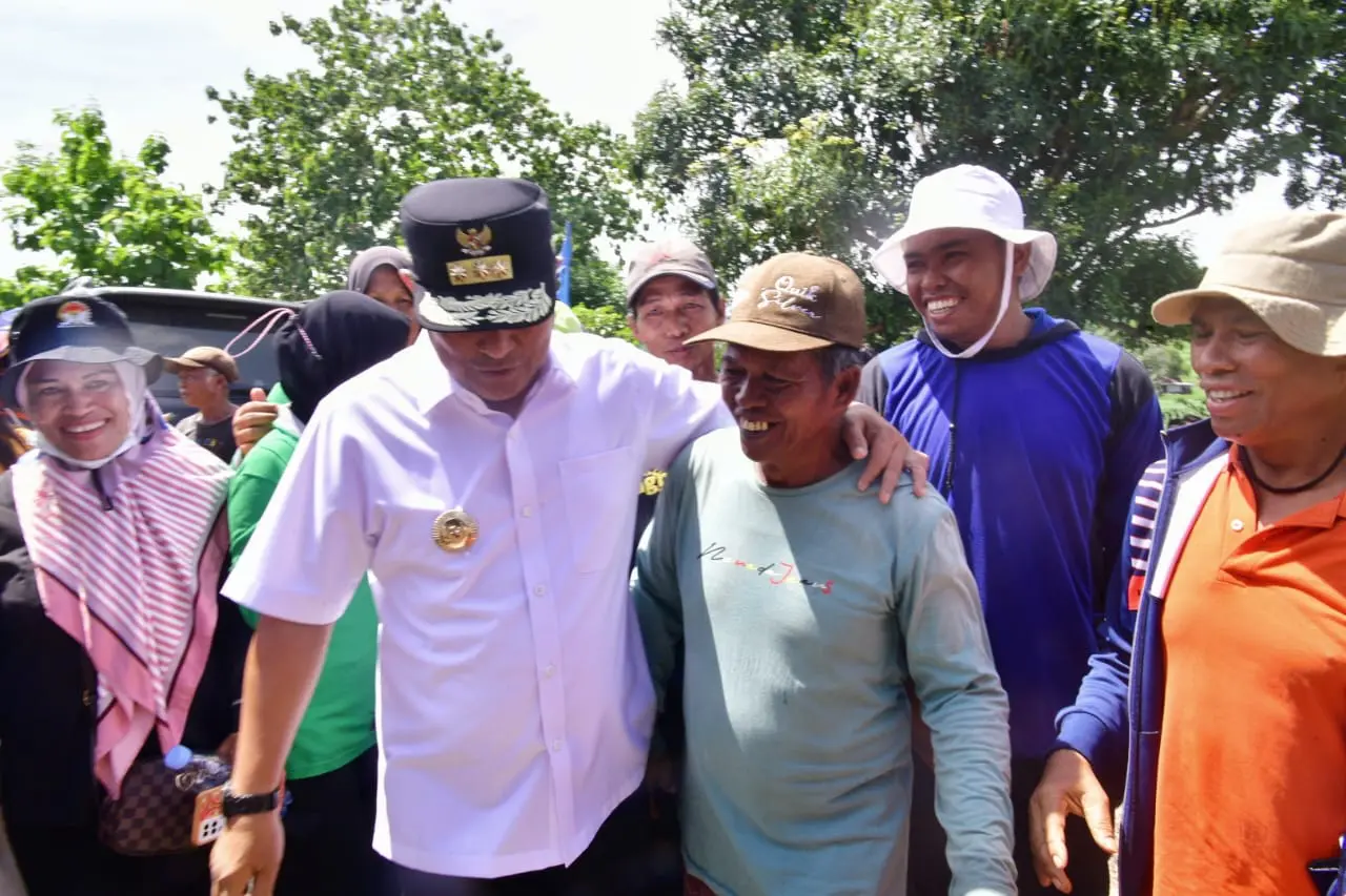 Petani Sidrap Tanam Pisang Cavendish Tumpang Sari Kacang Tanah