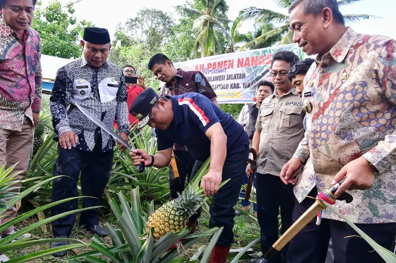 Pj Gubernur Ingin Desa Palippu Wajo Jadi Percontohan Budidaya Nanas di Sulsel