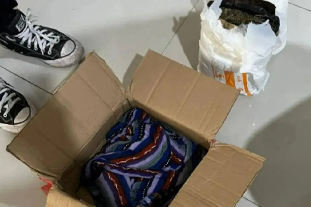 Bea Cukai Gagalkan Pengiriman 2,7 Kilogram Ganja di Makassar