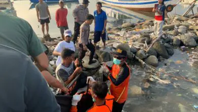 Meninggal Dunia, Tim SAR Evakuasi ABK KM Selaras Mas