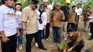 Pj Gubernur Sulsel Ajak Santri di Lutra Terlibat Budidaya Pisang Cavendish