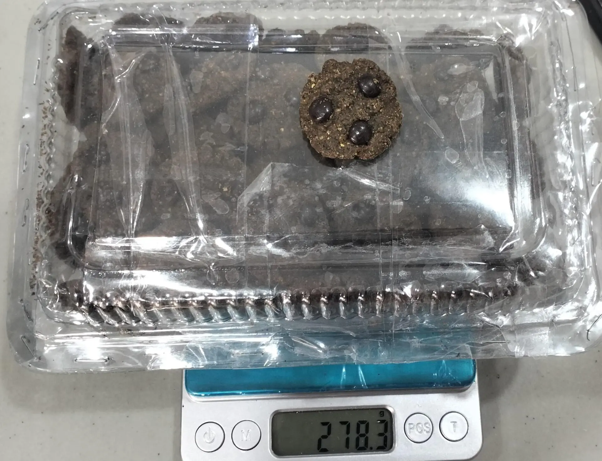 Beli Kue Mengandung Ganja, Dua Mahasiswa Ditangkap BNNP Sulsel