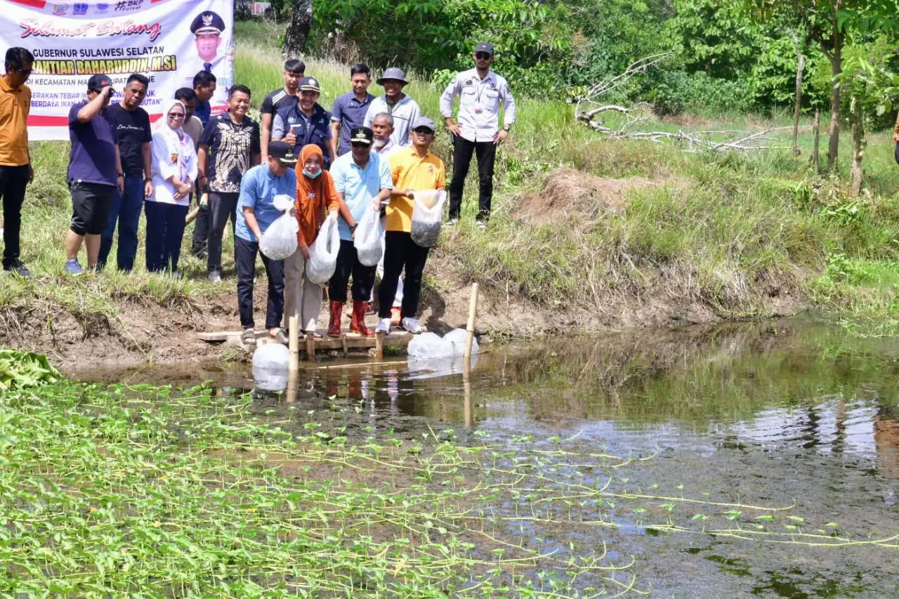20 Ribu Bibit Ikan Nila Ditebar di Desa Mario Bone