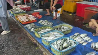 Cuaca Ekstrem, Harga Ikan Laut di Makassar Melonjak Tajam