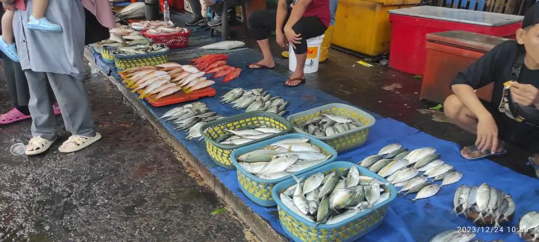 Cuaca Ekstrem, Harga Ikan Laut di Makassar Melonjak Tajam
