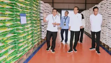 Berkunjung ke Sulsel, Ini Agenda Presiden Jokowi