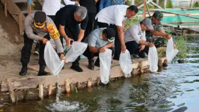 Pj Gubernur Sulsel Tebar Benih Ikan dan Kunjungi Peternakan Sapi di Pinrang