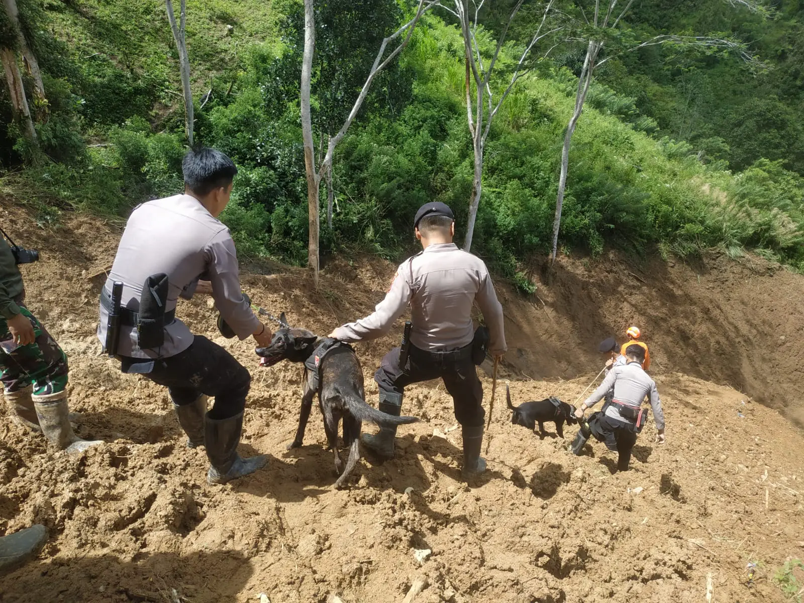 Korban Longsor di Luwu Menjadi 23 Orang, K9 Polda Sulsel Diturunkan