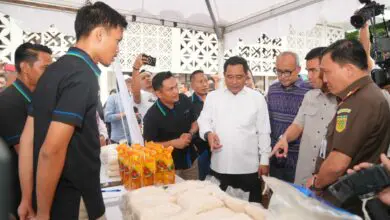 Panen Raya di Tiga Kabupaten di Sulsel Bisa Stabilkan Harga Beras