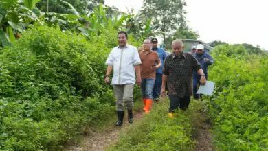 Pj Gubernur, Wali Kota dan Bupati Maros Kompak Wujudkan Pembangunan Stadion di Makassar