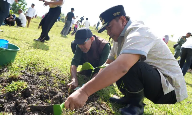 Launching Sedekah Pohon, 50 Ribu Bibit akan Disebar di Bone