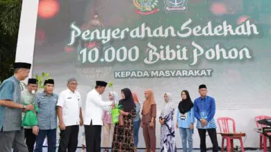 Cetak Sejarah, Pj Gubernur Bahtiar Inisiasi Gerakan Sedekah Pohon dari Sulsel untuk Indonesia