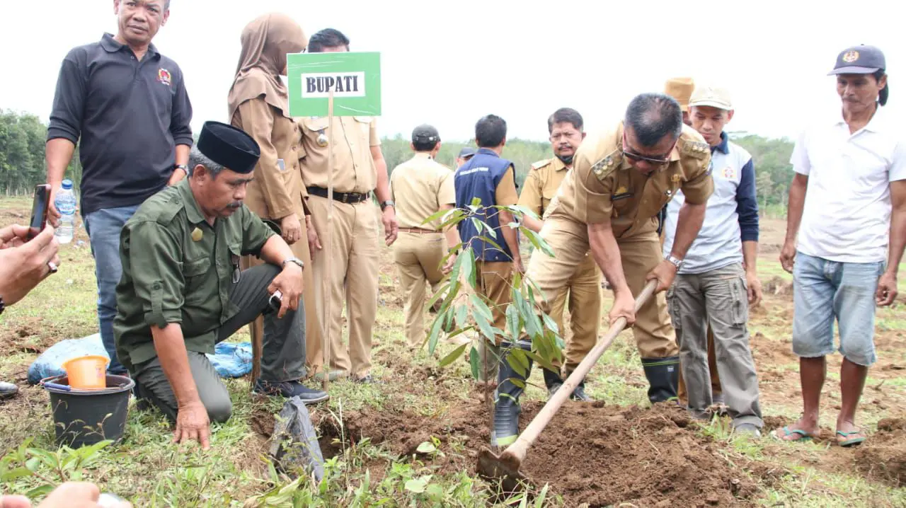 Bukan Hanya Bibit Unggul, Petani Bulukumba Juga Dibantu Pembersihan Lahan