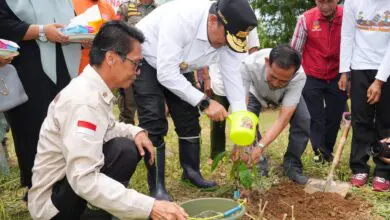 Warga Antusias Dukung Penanaman Pohon Serentak di Hari Bumi