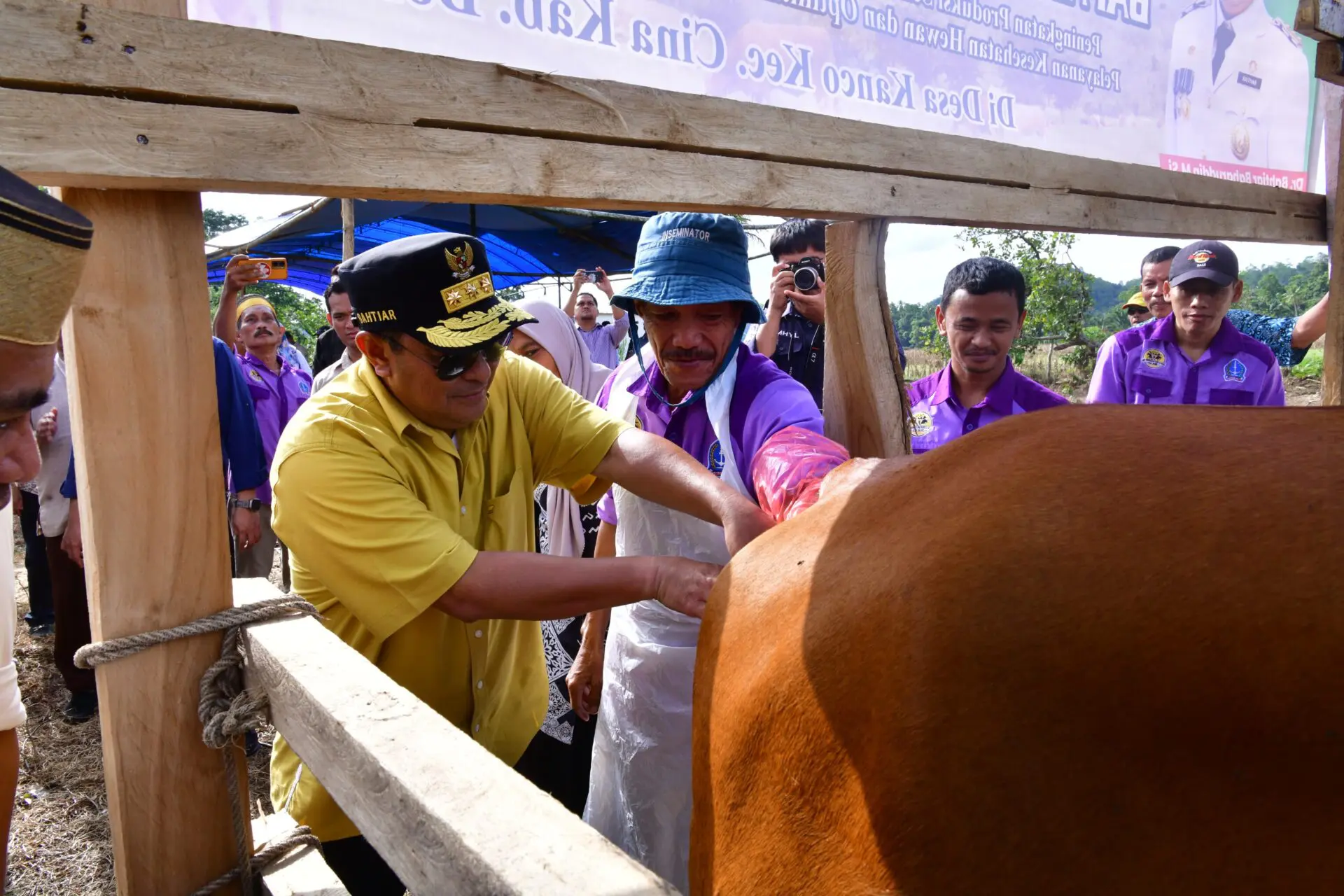 Pj Gubernur Bahtiar Kembali Gencarkan IB untuk Tambah Populasi Ternak di Sulsel