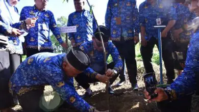 Pj Gubernur Prof Zudan Canangkan Gerakan Sulsel Menanam, Satu Pohon Tiap KK (Foto: Humas Pemprov Sulsel)